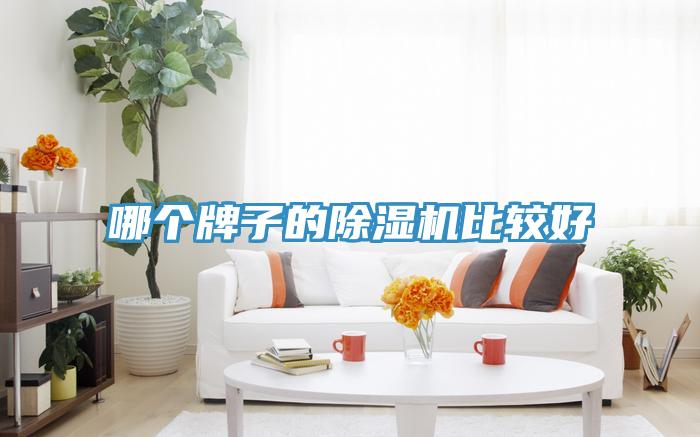 哪個牌子的除濕機(jī)比較好