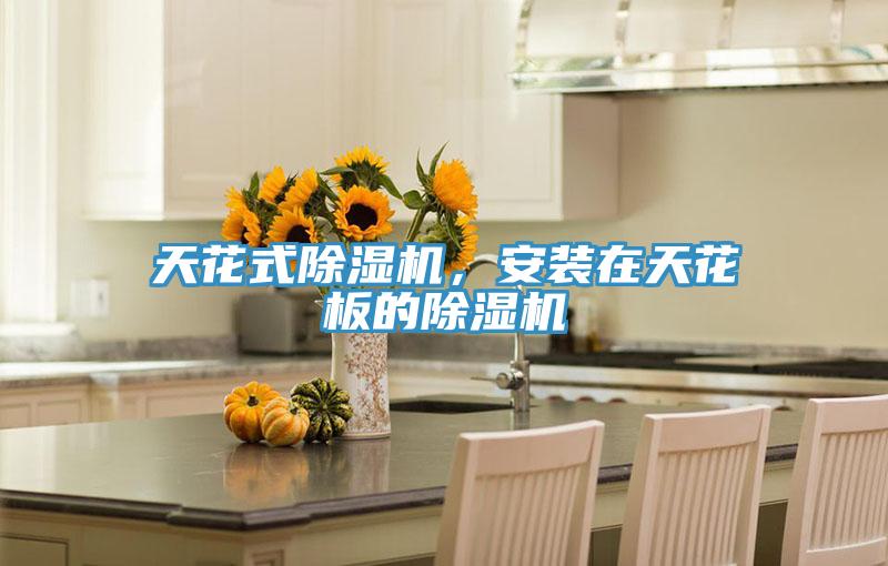 天花式除濕機，安裝在天花板的除濕機
