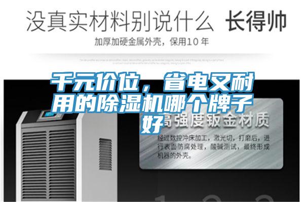 千元價(jià)位，省電又耐用的除濕機(jī)哪個(gè)牌子好