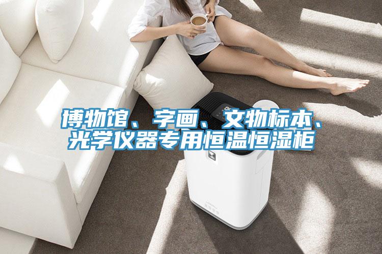 博物館、字畫、文物標本、光學(xué)儀器專用恒溫恒濕柜