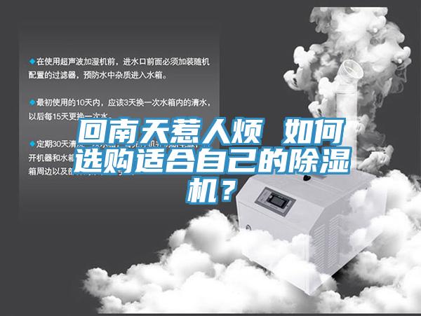 回南天惹人煩 如何選購(gòu)適合自己的除濕機(jī)？