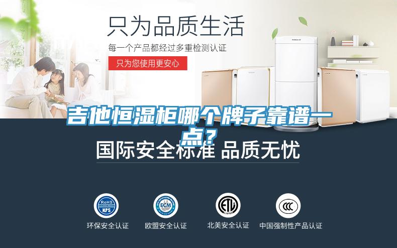 吉他恒濕柜哪個牌子靠譜一點？