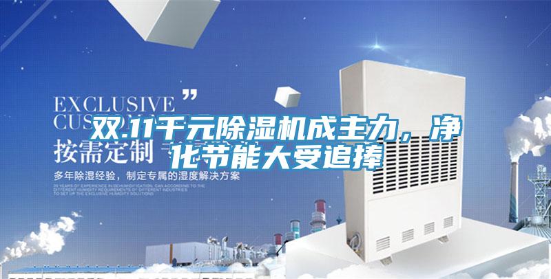 雙.11千元除濕機(jī)成主力，凈化節(jié)能大受追捧