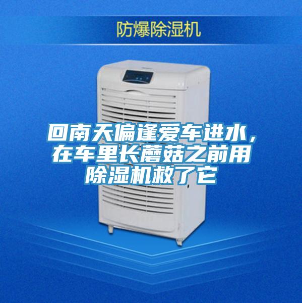 回南天偏逢愛車進(jìn)水，在車?yán)镩L(zhǎng)蘑菇之前用除濕機(jī)救了它