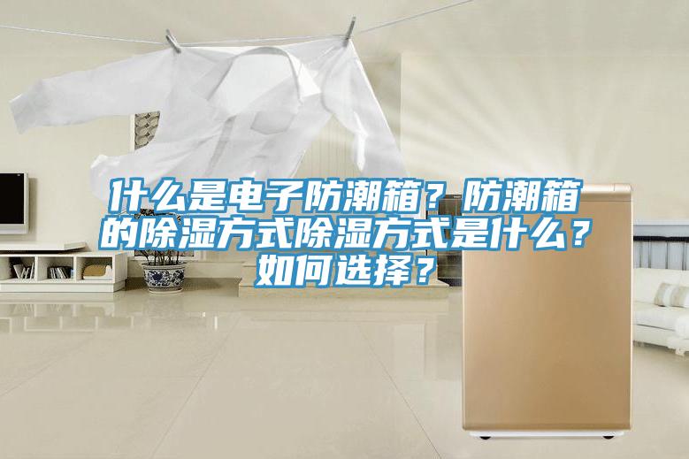 什么是電子防潮箱？防潮箱的除濕方式除濕方式是什么？如何選擇？