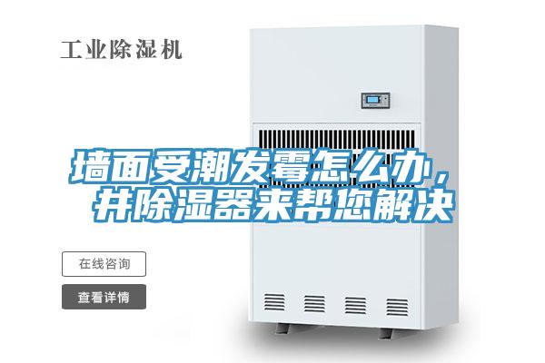 墻面受潮發(fā)霉怎么辦，東井除濕器來幫您解決