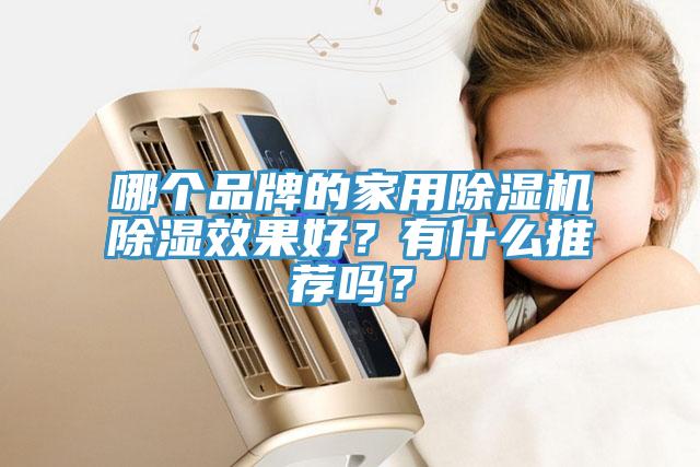 哪個品牌的家用除濕機除濕效果好？有什么推薦嗎？