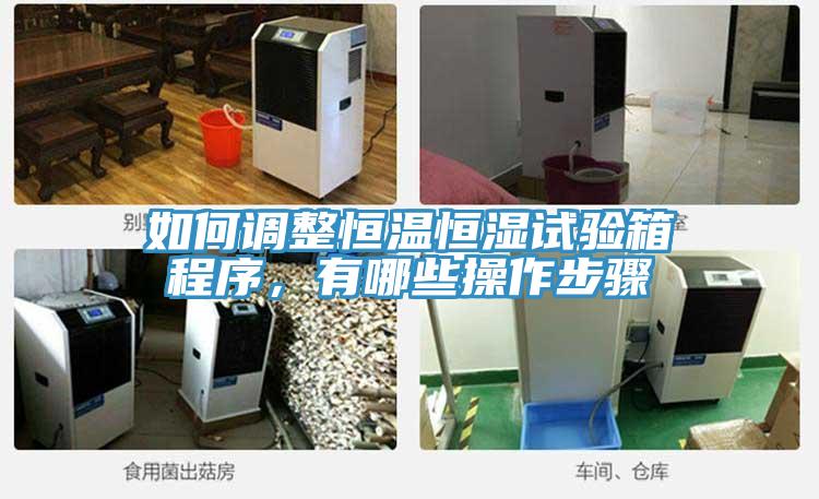如何調(diào)整恒溫恒濕試驗(yàn)箱程序，有哪些操作步驟