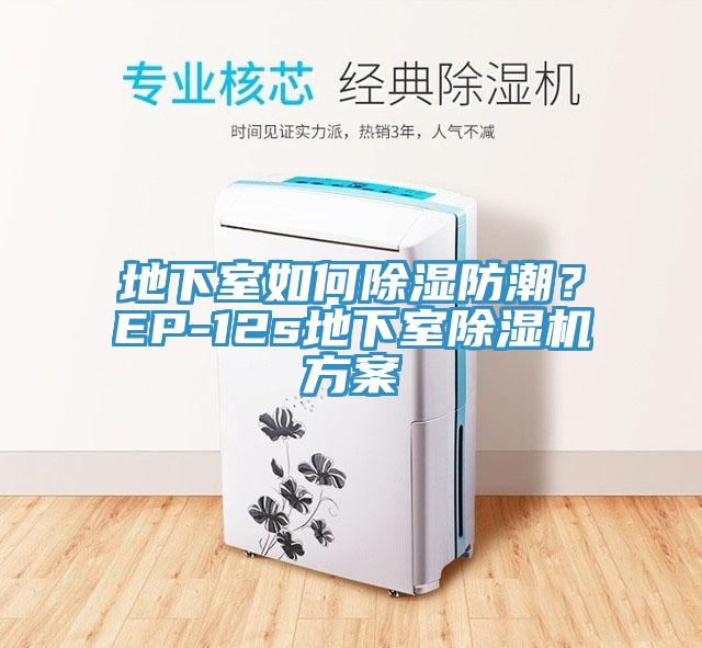 地下室如何除濕防潮？EP-12s地下室除濕機(jī)方案