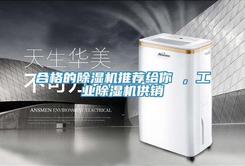合格的除濕機(jī)推薦給你 ，工業(yè)除濕機(jī)供銷