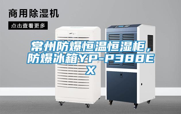 常州防爆恒溫恒濕柜，防爆冰箱YP-P388EX