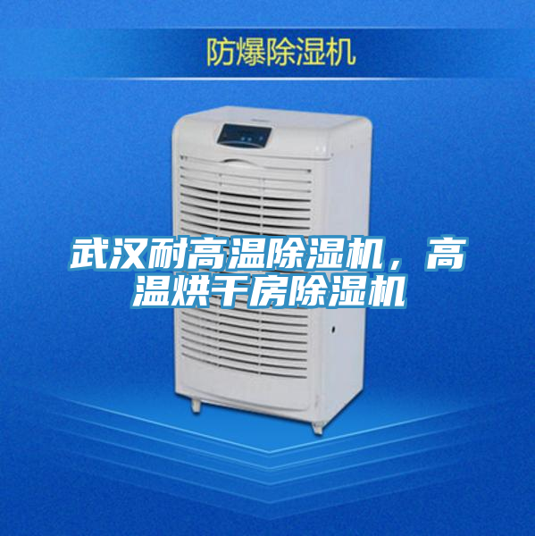 武漢耐高溫除濕機，高溫烘干房除濕機