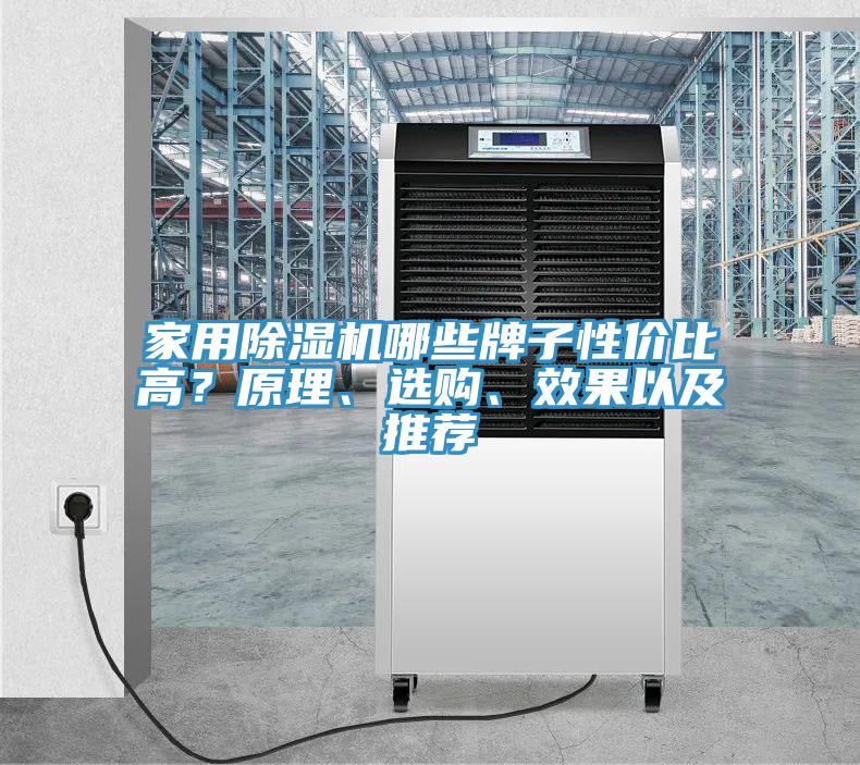 家用除濕機哪些牌子性價比高？原理、選購、效果以及推薦