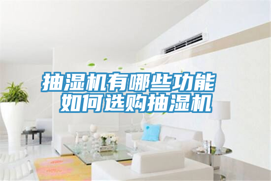 抽濕機(jī)有哪些功能 如何選購抽濕機(jī)