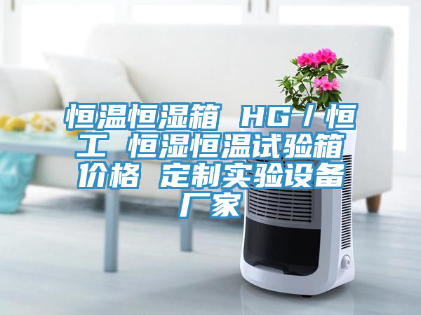 恒溫恒濕箱 HG/恒工 恒濕恒溫試驗箱價格 定制實驗設(shè)備廠家