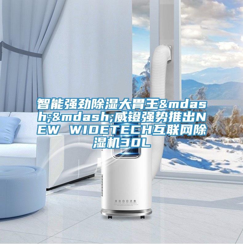 智能強(qiáng)勁除濕大胃王&mdash;&mdash;威鐙強(qiáng)勢(shì)推出NEW WIDETECH互聯(lián)網(wǎng)除濕機(jī)30L