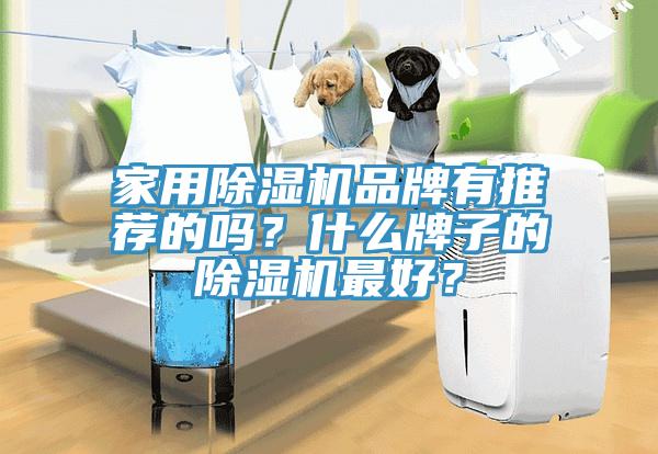 家用除濕機(jī)品牌有推薦的嗎？什么牌子的除濕機(jī)最好？