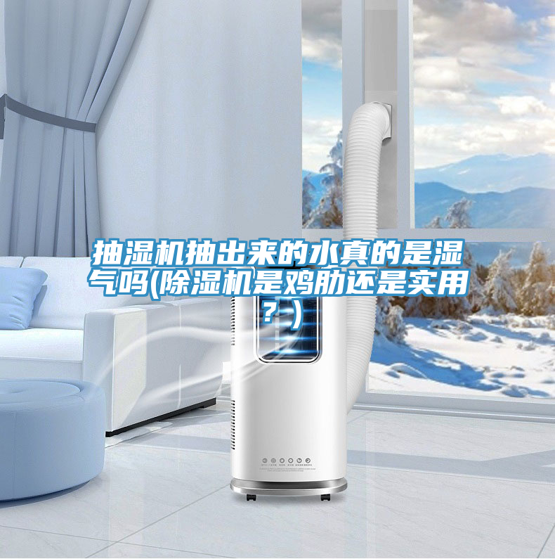抽濕機(jī)抽出來的水真的是濕氣嗎(除濕機(jī)是雞肋還是實(shí)用？)