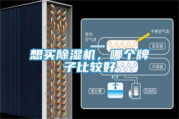 想買除濕機(jī)，哪個(gè)牌子比較好