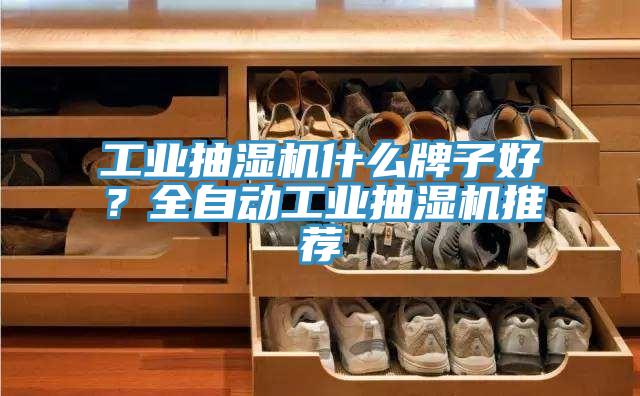 工業(yè)抽濕機(jī)什么牌子好？全自動工業(yè)抽濕機(jī)推薦