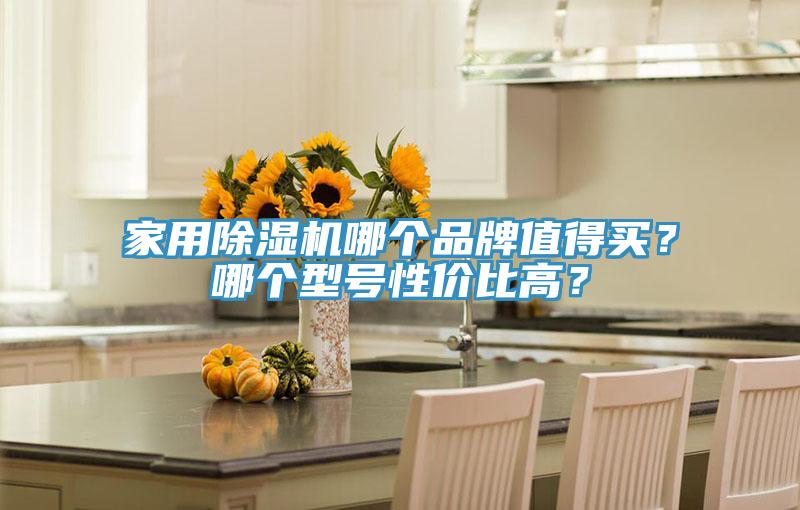 家用除濕機(jī)哪個(gè)品牌值得買(mǎi)？哪個(gè)型號(hào)性?xún)r(jià)比高？