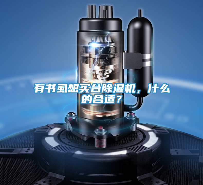 有書虱想買臺除濕機，什么的合適？