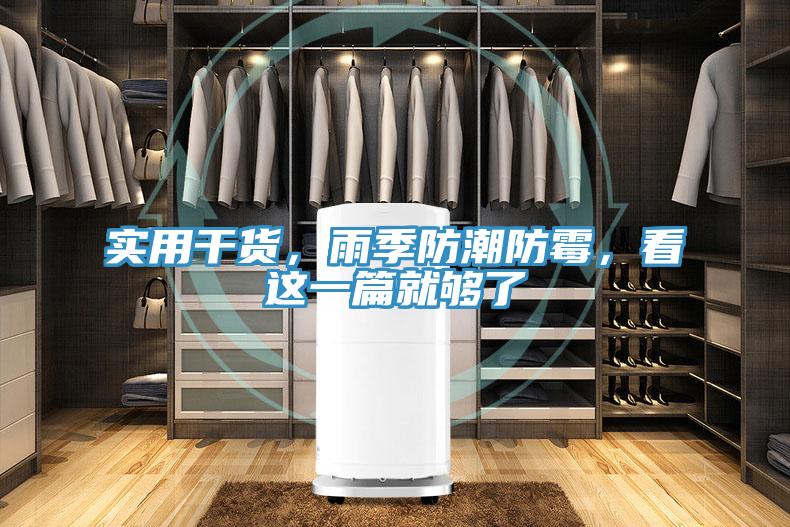 實用干貨，雨季防潮防霉，看這一篇就夠了