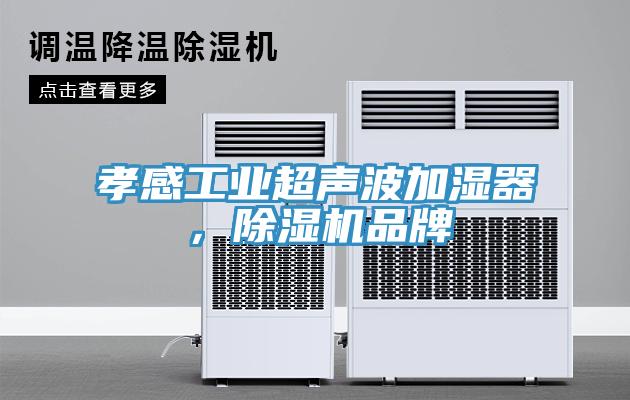 孝感工業(yè)超聲波加濕器，除濕機品牌