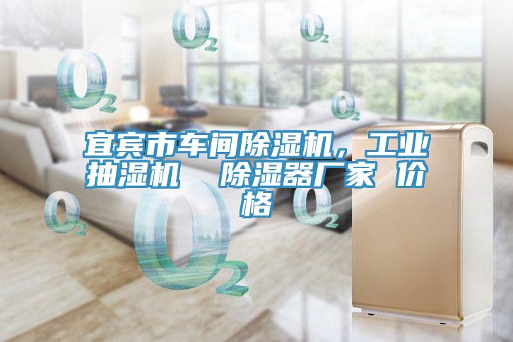 宜賓市車間除濕機(jī)，工業(yè)抽濕機(jī)  除濕器廠家 價(jià)格