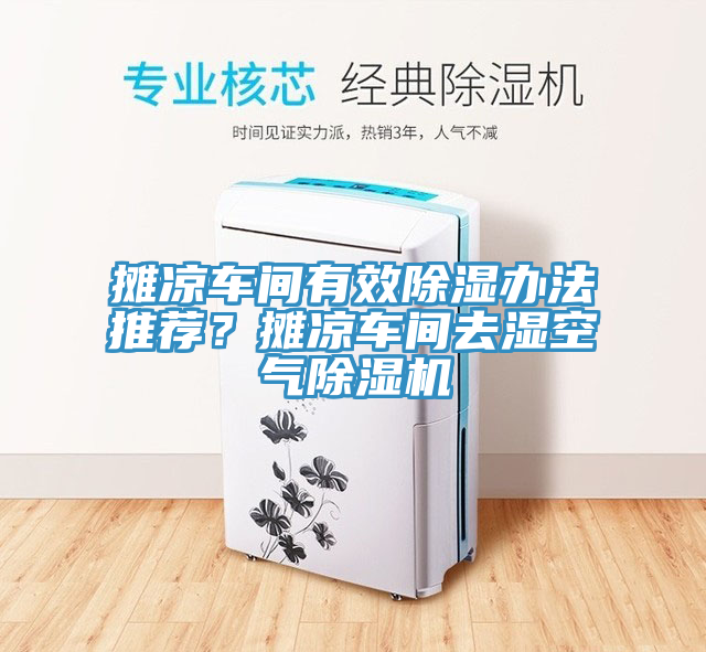 攤涼車間有效除濕辦法推薦？攤涼車間去濕空氣除濕機