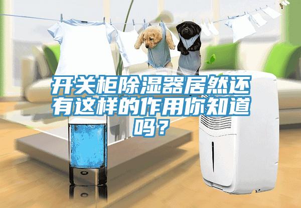 開關柜除濕器居然還有這樣的作用你知道嗎？