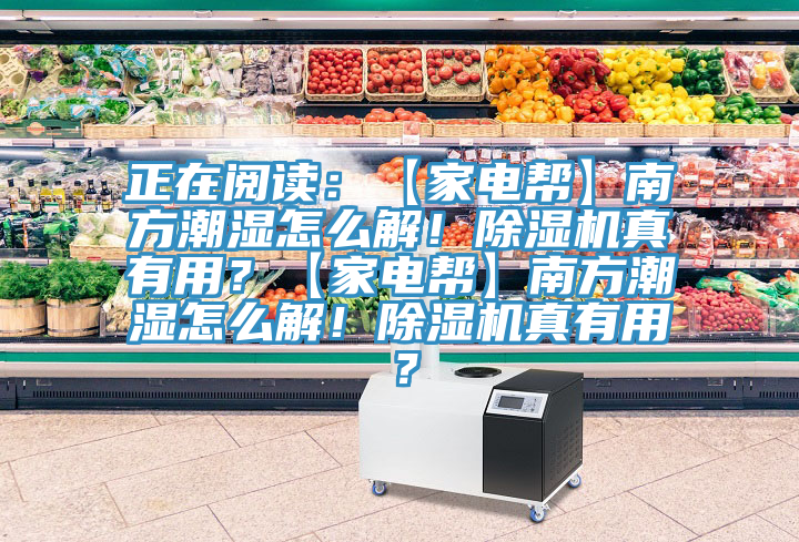 正在閱讀：【家電幫】南方潮濕怎么解！除濕機(jī)真有用？【家電幫】南方潮濕怎么解！除濕機(jī)真有用？