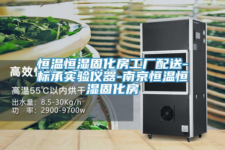 恒溫恒濕固化房工廠(chǎng)配送-標(biāo)承實(shí)驗(yàn)儀器-南京恒溫恒濕固化房