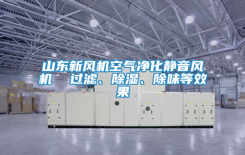 山東新風(fēng)機(jī)空氣凈化靜音風(fēng)機(jī)  過濾、除濕、除味等效果