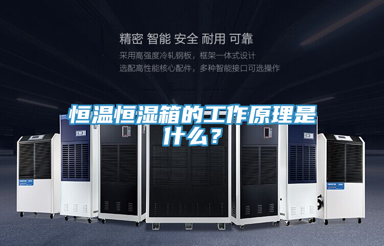 恒溫恒濕箱的工作原理是什么？