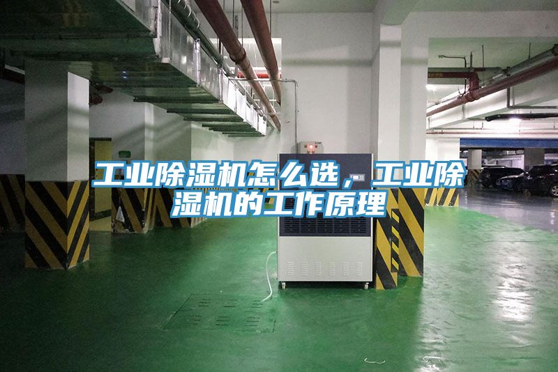 工業(yè)除濕機怎么選，工業(yè)除濕機的工作原理