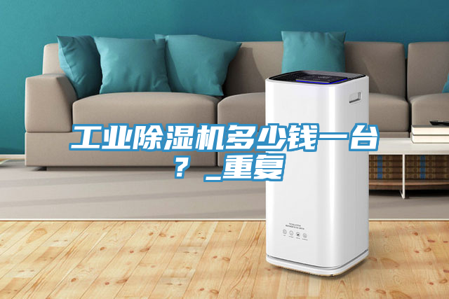 工業(yè)除濕機多少錢一臺？_重復