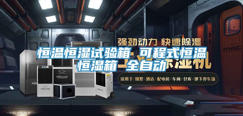 恒溫恒濕試驗(yàn)箱 可程式恒溫恒濕箱 全自動