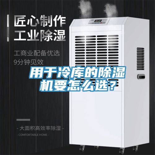 用于冷庫的除濕機要怎么選？