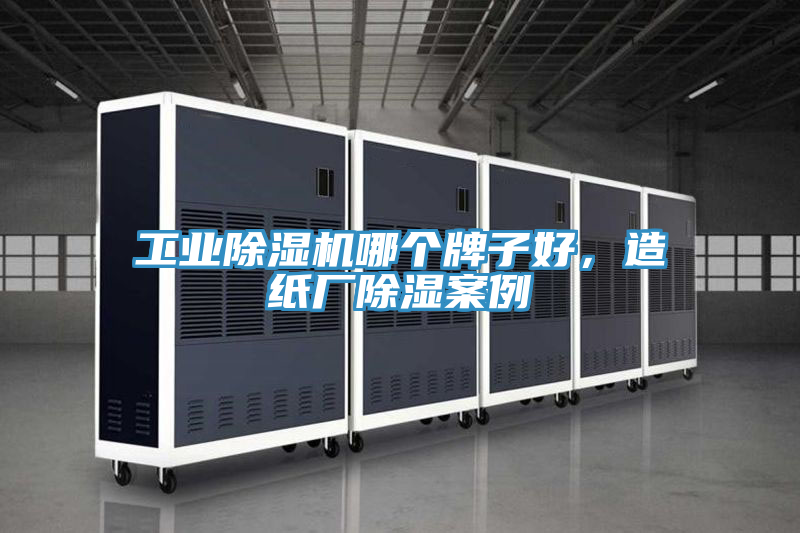 工業(yè)除濕機(jī)哪個(gè)牌子好，造紙廠除濕案例
