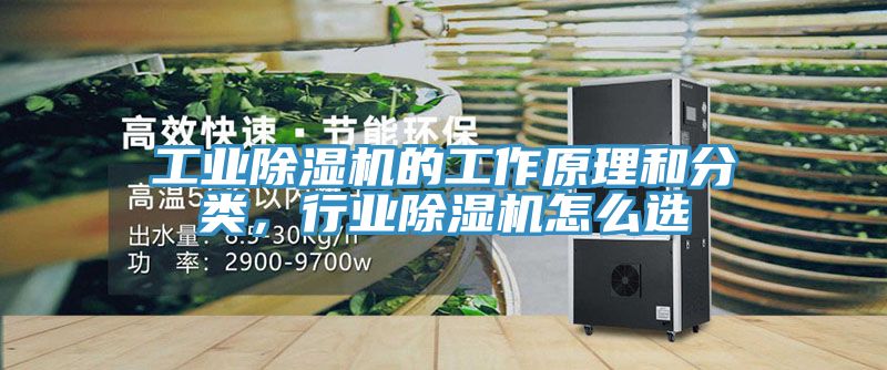 工業(yè)除濕機(jī)的工作原理和分類，行業(yè)除濕機(jī)怎么選