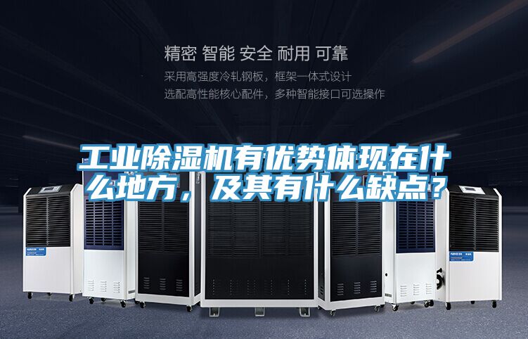 工業(yè)除濕機(jī)有優(yōu)勢體現(xiàn)在什么地方，及其有什么缺點(diǎn)？
