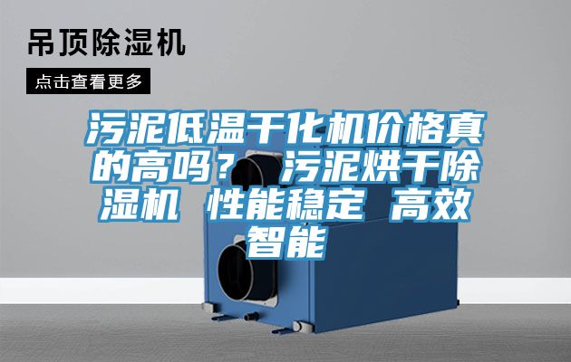 污泥低溫干化機(jī)價格真的高嗎？ 污泥烘干除濕機(jī) 性能穩(wěn)定 高效智能