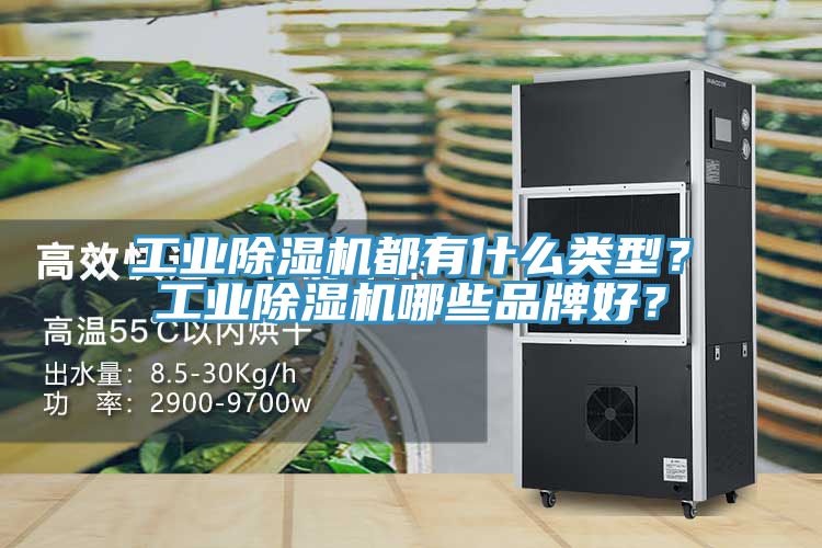 工業(yè)除濕機(jī)都有什么類型？工業(yè)除濕機(jī)哪些品牌好？