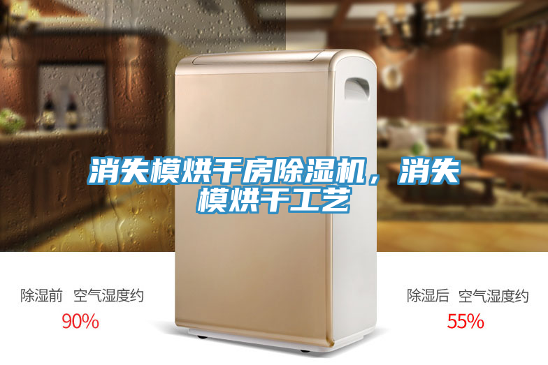 消失模烘干房除濕機(jī)，消失模烘干工藝