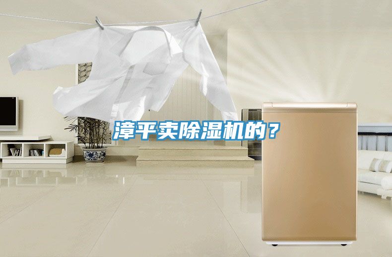 漳平賣除濕機(jī)的？