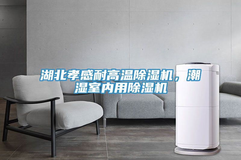 湖北孝感耐高溫除濕機(jī)，潮濕室內(nèi)用除濕機(jī)