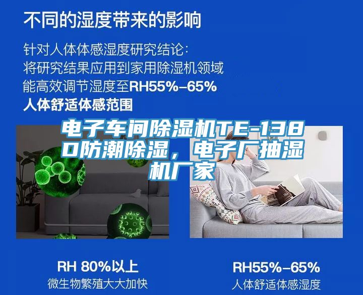 電子車間除濕機TE-138D防潮除濕，電子廠抽濕機廠家