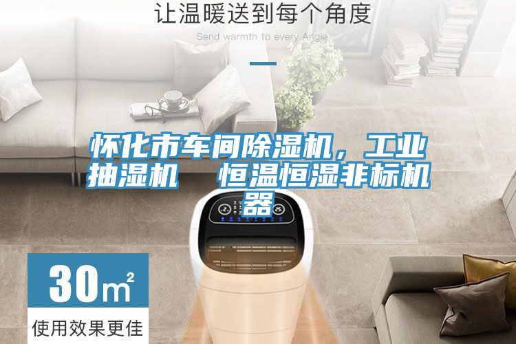 懷化市車間除濕機，工業(yè)抽濕機  恒溫恒濕非標(biāo)機器