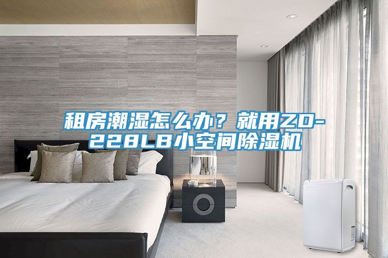 租房潮濕怎么辦？就用ZD-228LB小空間除濕機(jī)